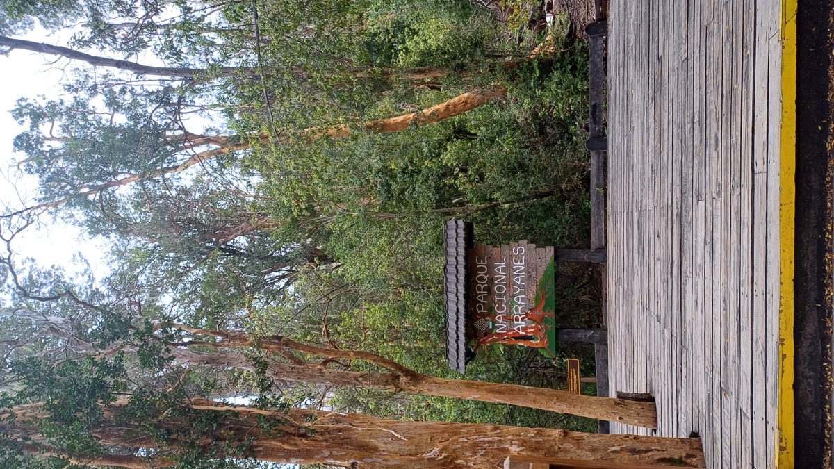 Isla Victoria y Bosque de Arrayanes